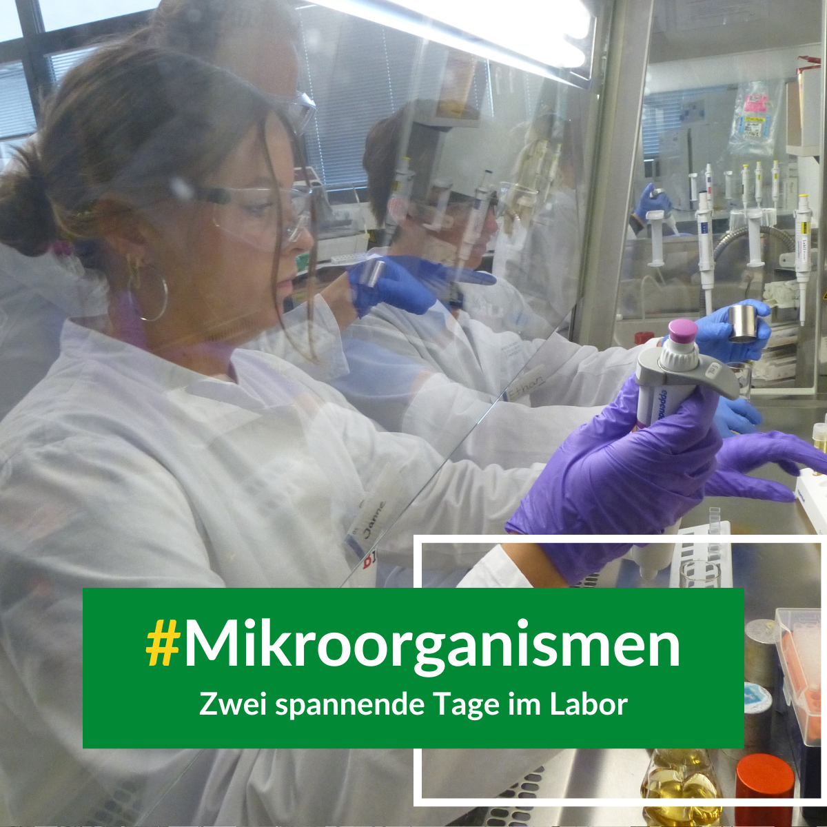Zwei spannende Tage im Labor: Entdecke die Welt der Mikroorganismen!